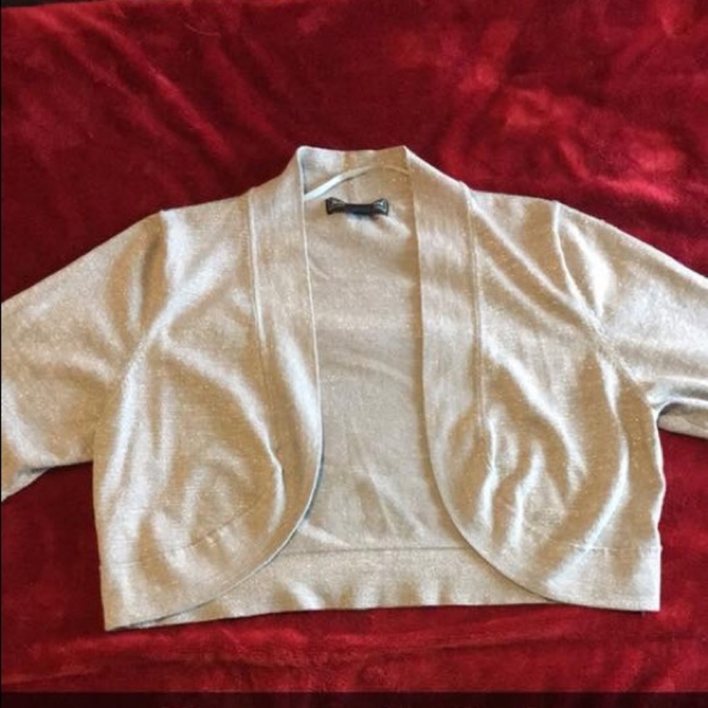 Silver Dress Sweater